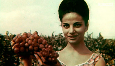 Song of Armenian harvest 1965 [Archive]