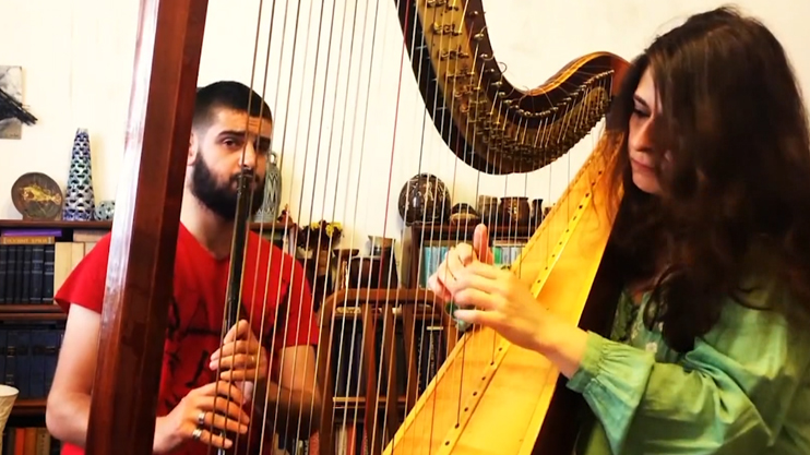 Harpist  Sona Yengibaryan