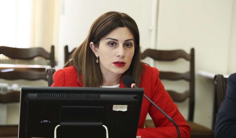 Անահիտ Ավանեսյանը ներկայացրել է առողջապահության ոլորտում իրականացված ծրագրերը