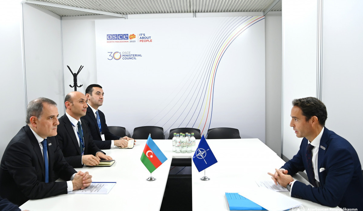 Bayramov and Javier Colomina discussed agenda of Azerbaijan and NATO