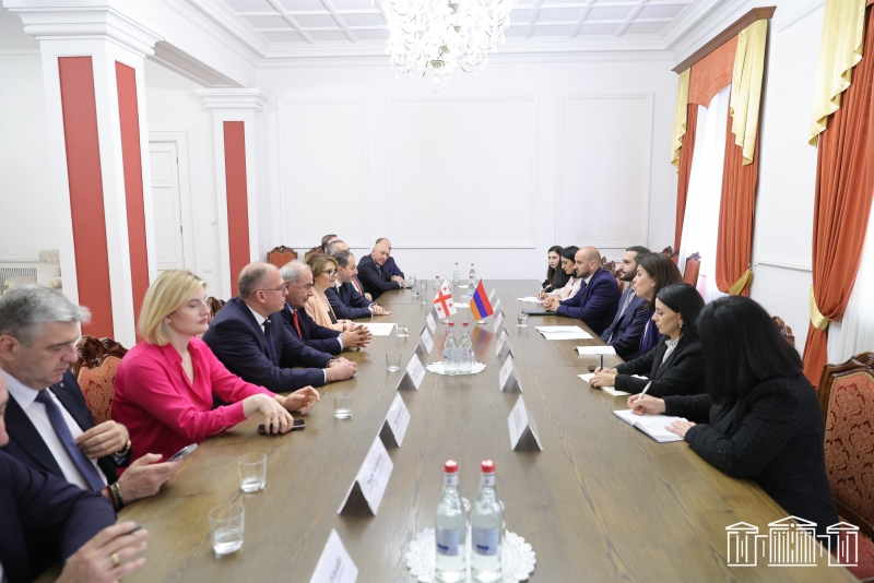 Ruben Rubinyan receives delegation led by Chair of Culture Committee of Georgian Parliament