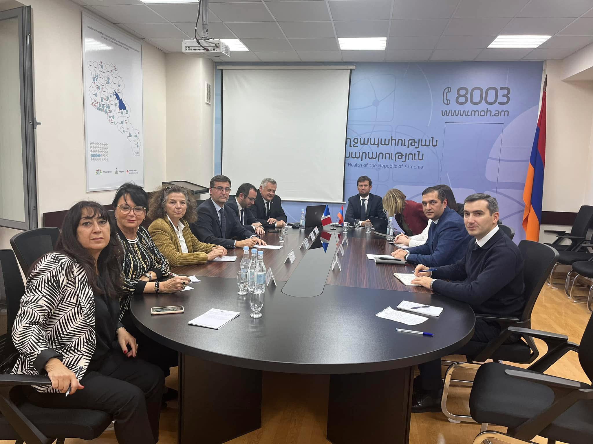 Առողջապահության նախարարի տեղակալը Վիեննի քաղաքապետի հետ քննարկել է համագործակցության հնարավոր ուղղությունները