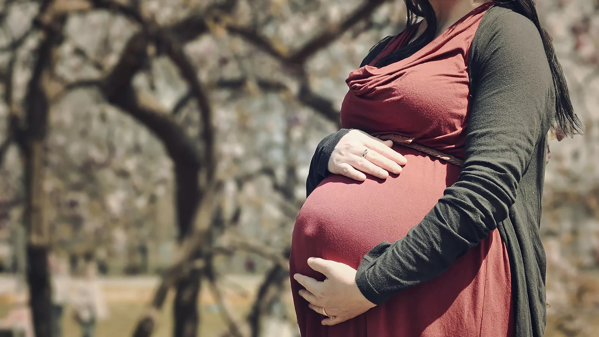 Հայաստանում թե՛ մայրական, թե՛ մանկական մահացության դեպքերը նվազել են. Ավանեսյան