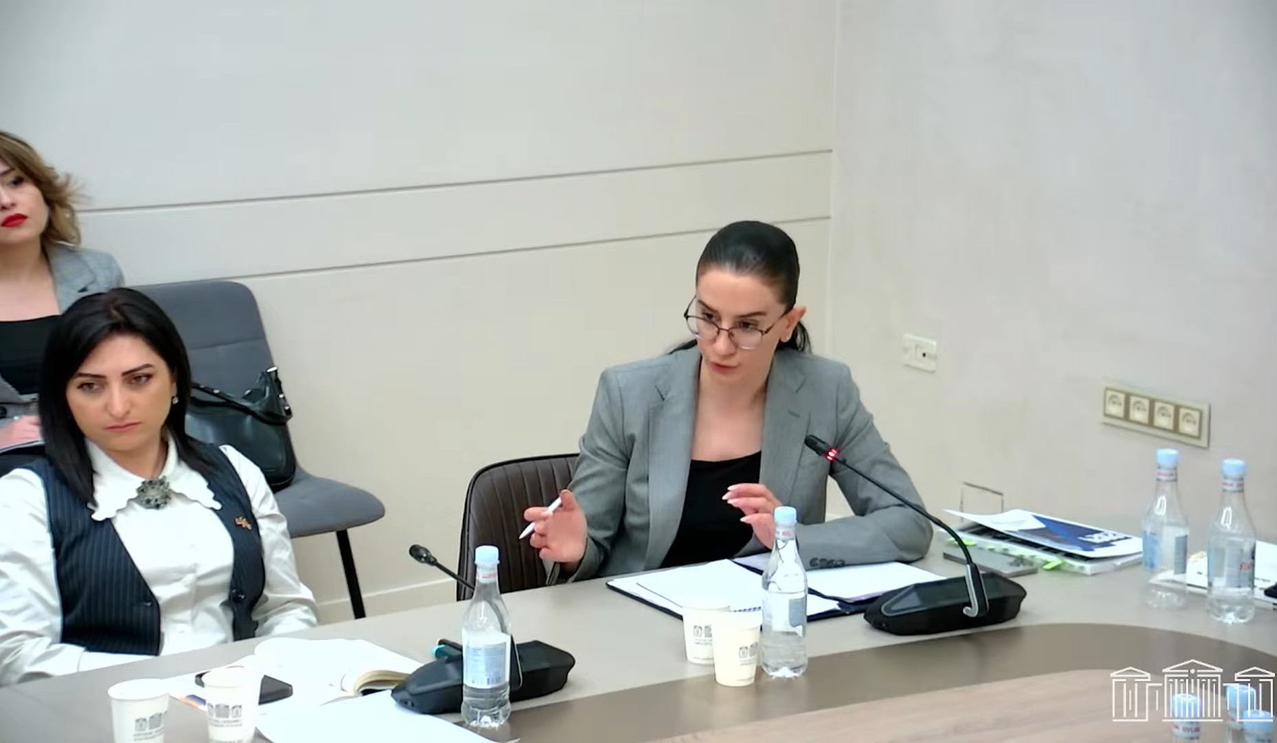 Կարծում եմ՝ հաջորդ հաղորդման մեջ «Մարտի 1»-ի մինչդատական վարույթով ասելիք կունենամ. Աննա Վարդապետյան