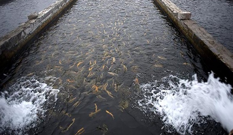 Ձկնաբուծական ոլորտի շինությունների նախագծման թույլտվություն ստանալու համար անհրաժեշտ է վավեր ջրօգտագործման թույլտվության փաստաթուղթ