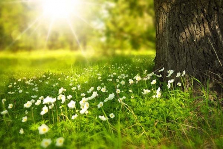 Օգոստոս ամսվա եղանակի կանխատեսումը