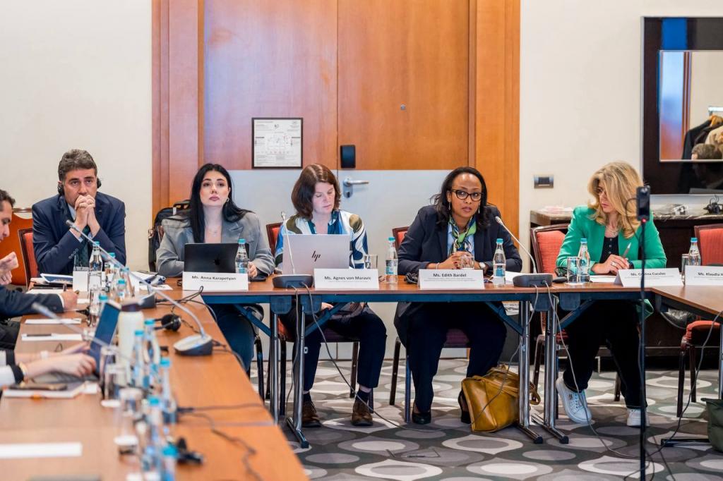 Աննա Կարապետյանը միջազգային գործընկերներին է ներկայացրել Անչափահասների արդարադատության խորհրդի գործունեությունը