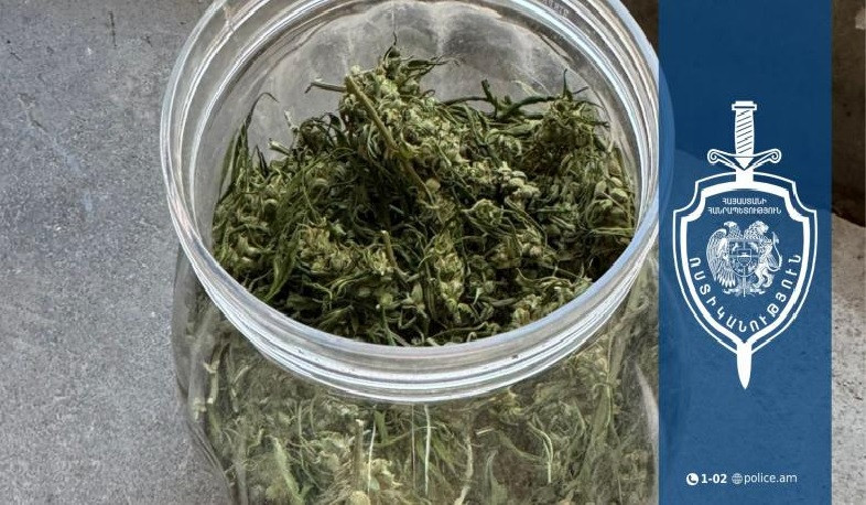 Բռնակոթ գյուղի բնակիչը կանեփ էր աճեցնում և թմրամիջոց պատրաստում․ Սյունիքի ոստիկանների բացահայտումը