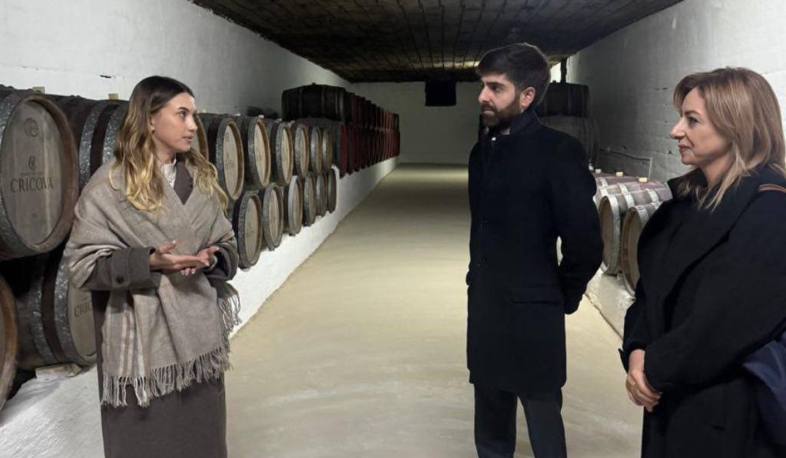 Հայկական բրենդիի ռեբրենդինգից մինչև խաղողի այգիների ռեեստր․ հայ-մոլդովական համագործակցությունը խորանում է