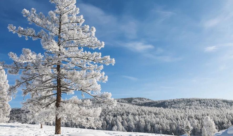 Յակուտիայի ռեկորդը գերազանցվել է. Էվենկիան ստանձնել է -50 աստիճան ցրտերի էստաֆետը