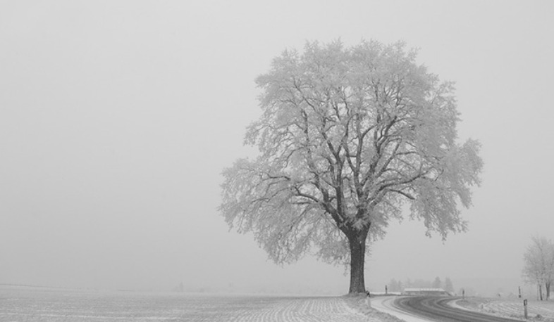 Վարդենյաց լեռնանցքում և «Մեղրու սար» կոչվող հատվածում մառախուղ է. իրավիճակը ՀՀ ավտոճանապարհներին
