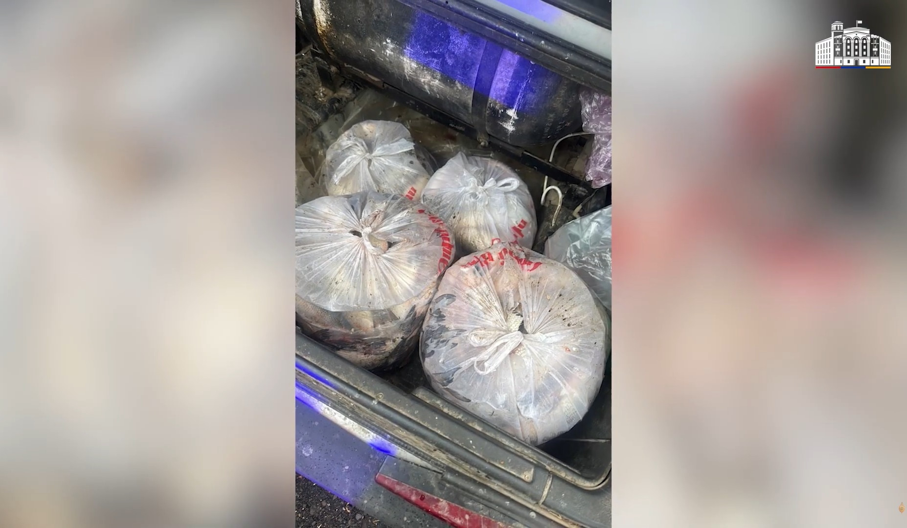 Ջրային պարեկները հայտնաբերել են սիգ տեսակի 110 ձուկ