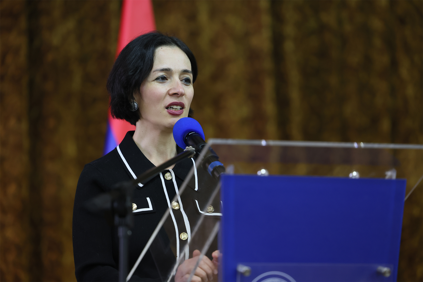 ԿԳՄՍՆ նախաձեռնությամբ անցկացվել է նախադպրոցական կրթության ոլորտի ներկայացուցիչների աշխատաժողովը. մասնակցել է նաև նախարարը