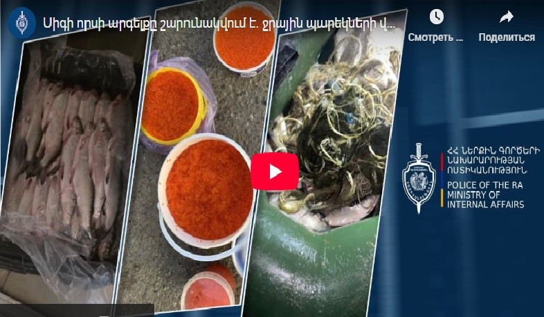 Սիգի որսի արգելքը շարունակվում է. ջրային պարեկների վերջին օրերի ծառայության արդյունքները` ամփոփ