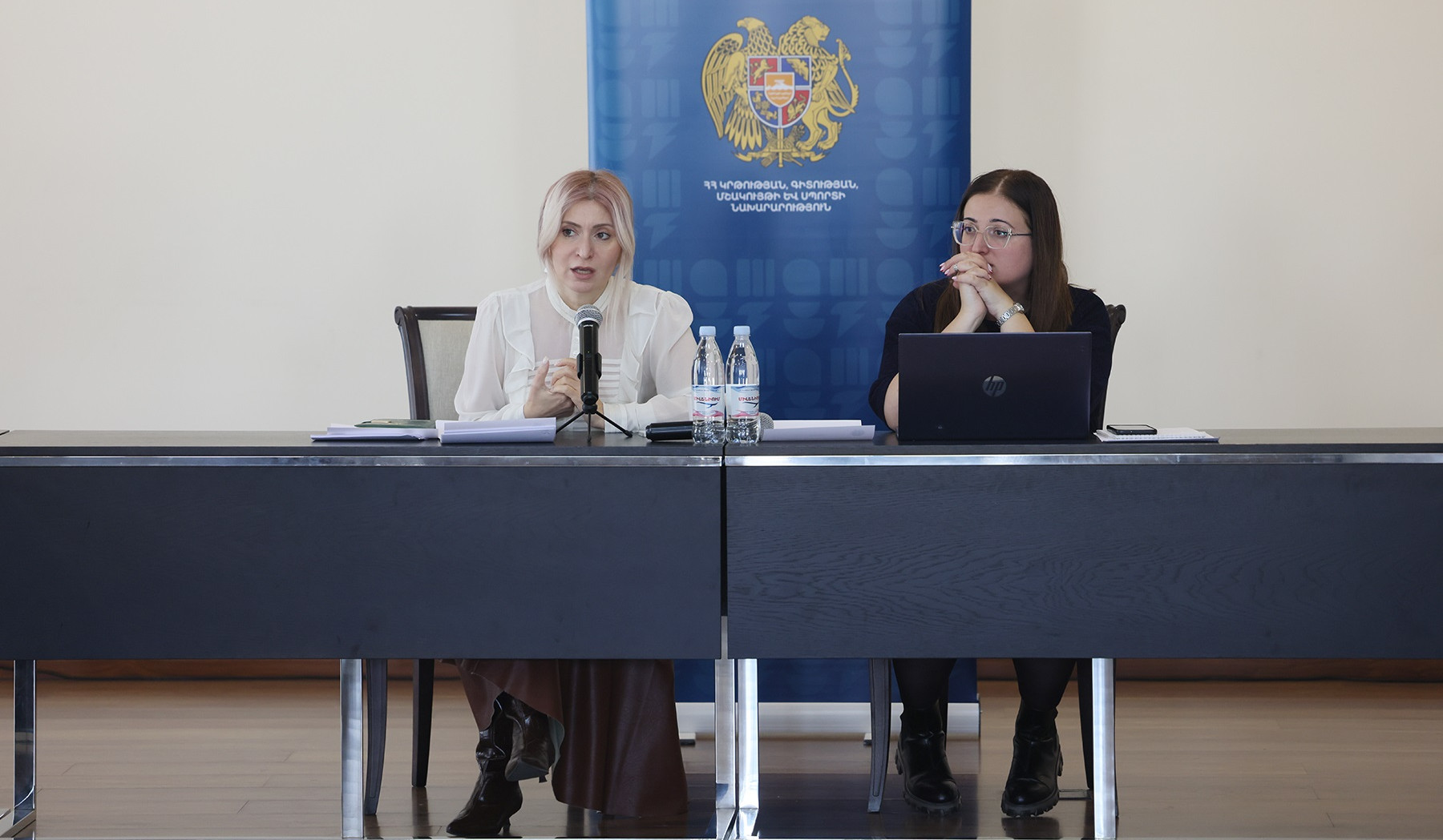 Քննարկվել են «Արհեստական բանականությունը՝ ուսուցչի օգնական գործիք» բազային դասընթացի ծրագրին վերաբերող հարցեր