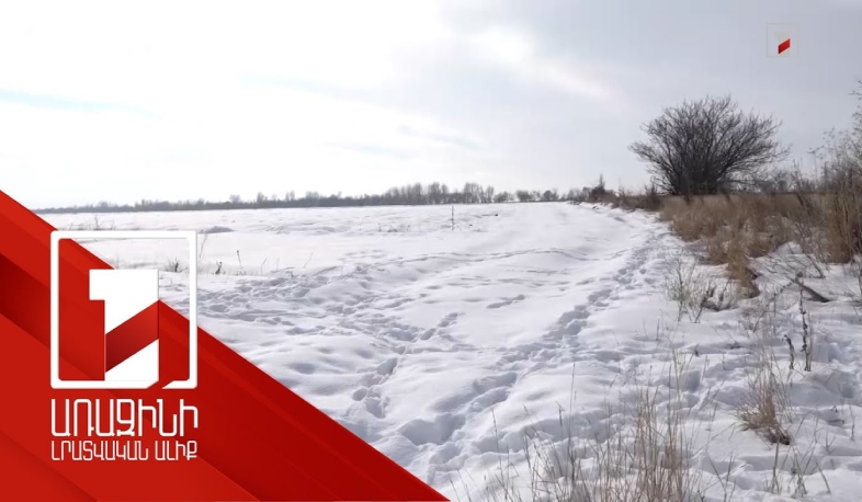 Ցրտաշունչ ձմեռը Շիրակի դաշտերում ոչ թե վտանգ, այլ հնարավորություն է ստեղծել. ակնկալում են առատ բերք