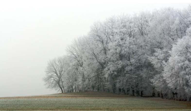 Այսօր և վաղը Շիրակի դաշտի ցածրադիր հատվածներում, Արագածոտնի նախալեռներում և Արարատյան դաշտում սպասվում է մառախուղ
