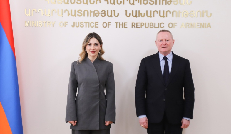 Խտրականության կանխարգելումից մինչև գենդերային հավասարություն․ Սրբուհի Գալյանի հանդիպումը ԵԽ հանձնակատարի հետ