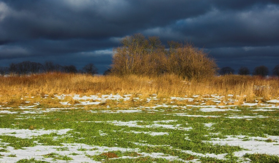 Հանրապետության առանձին շրջաններում սպասվում են տեղումներ, լեռնային որոշ հատվածներում՝ նաև բուք