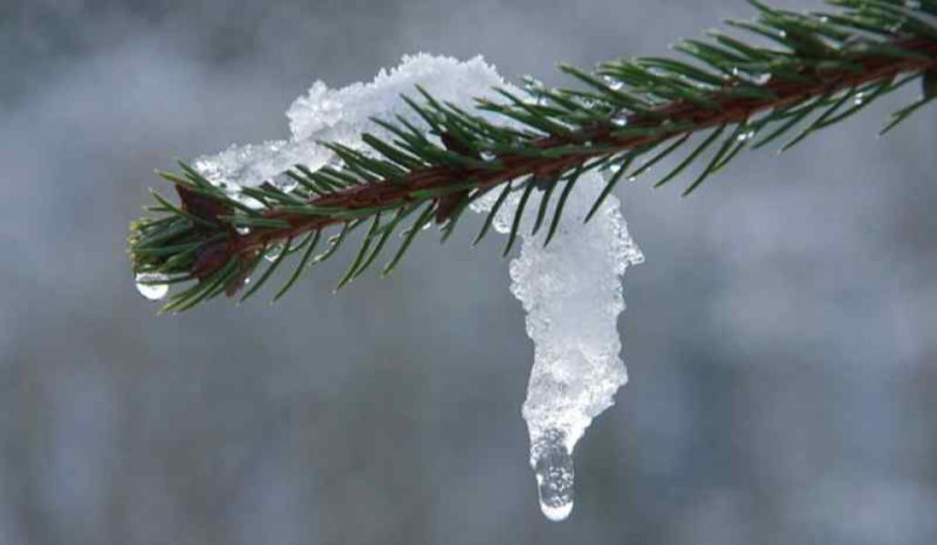 Այսօր սպասում ենք այս փետրվարի ամենատաք օրերից մեկը. Գագիկ Սուրենյան