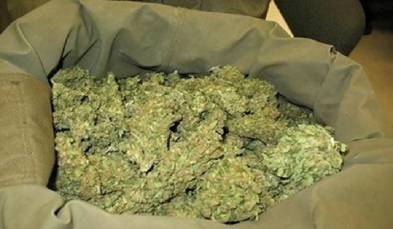 Առգրավվել է 1 կգ 150 գրամ մարիխուանա․ ՔՈԳՎ հերթական խոշոր բացահայտումը