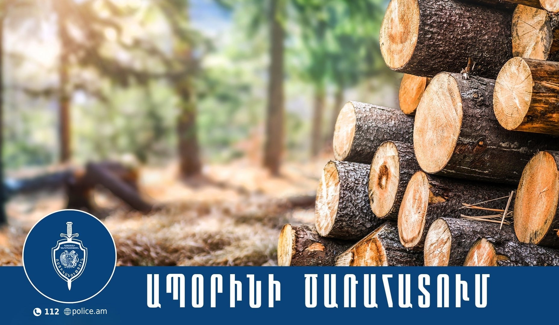 Անտառապետը ձերբակալվել և ներկայացվել է նախաքննական մարմին. ոստիկանների բացահայտումը