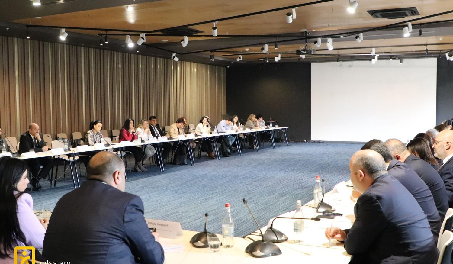 Քննարկվել է ֆիլմերի դասակարգման և դրանց տարիքային սահմանափակումների վերաբերյալ եզրակացություն տրամադրելու վերաբերյալ հարցը