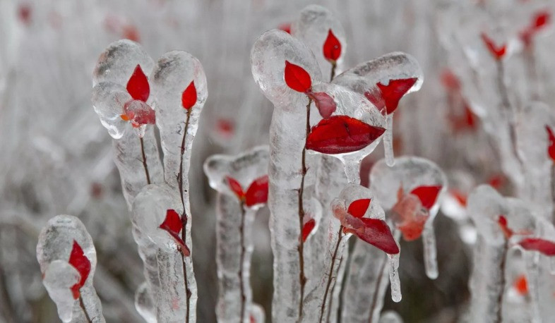 Օդի ջերմաստիճանը հանրապետությունում կնվազի