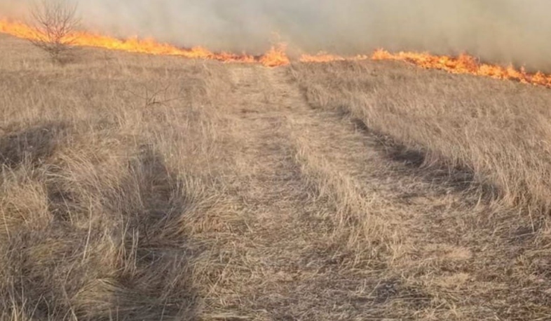 Գոգավան բնակավայրում բռնկված հրդեհը մարվել է․ կանխվել է հրդեհի տարածումը