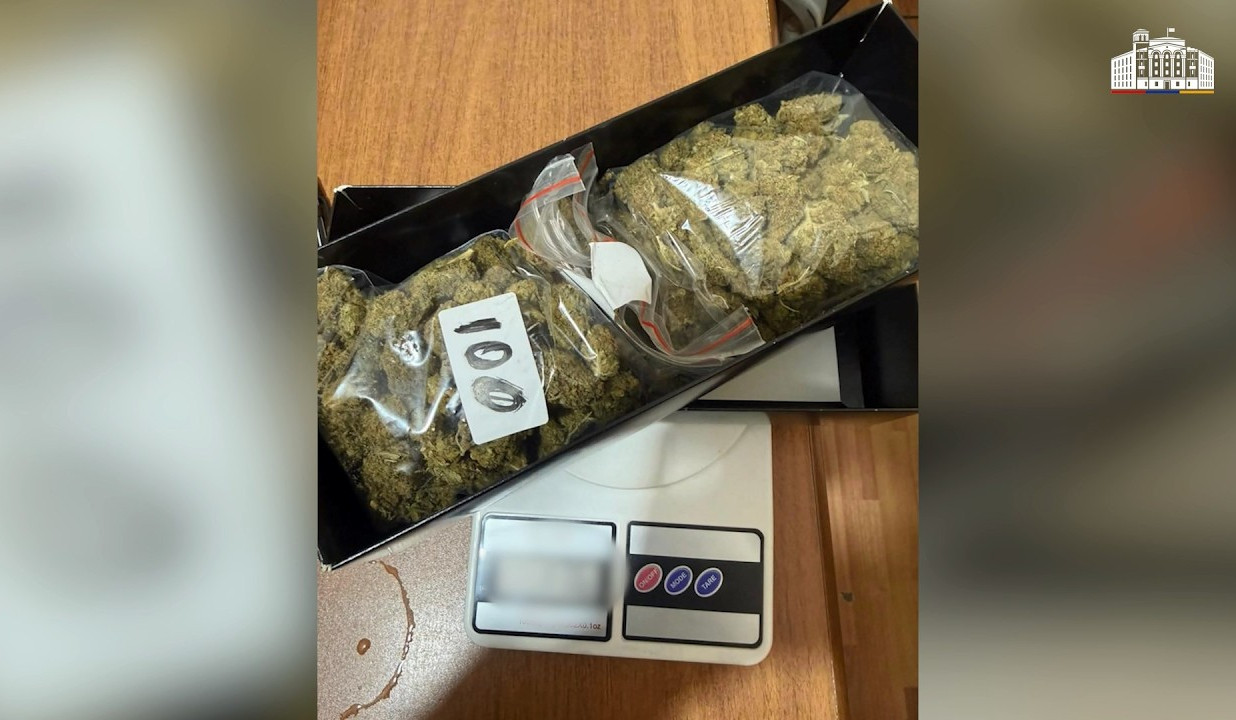 Երևանի քրեական ոստիկաններն ապօրինի շրջանառությունից հանել են մեծ քանակի թմրամիջոցներ