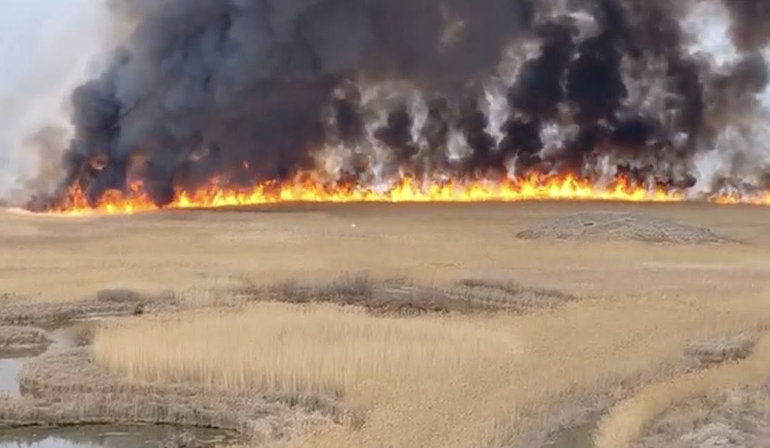 Հրդեհ «Խոր Վիրապ» արգելավայրի հարակից տարածքում․ կրակը մարվել է, ծառեր չեն վնասվել