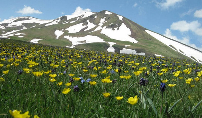 Առաջիկա օրերին ջերմաստիճանը կբարձրանա. ժամանակ առ ժամանակ սպասվում են տեղումներ
