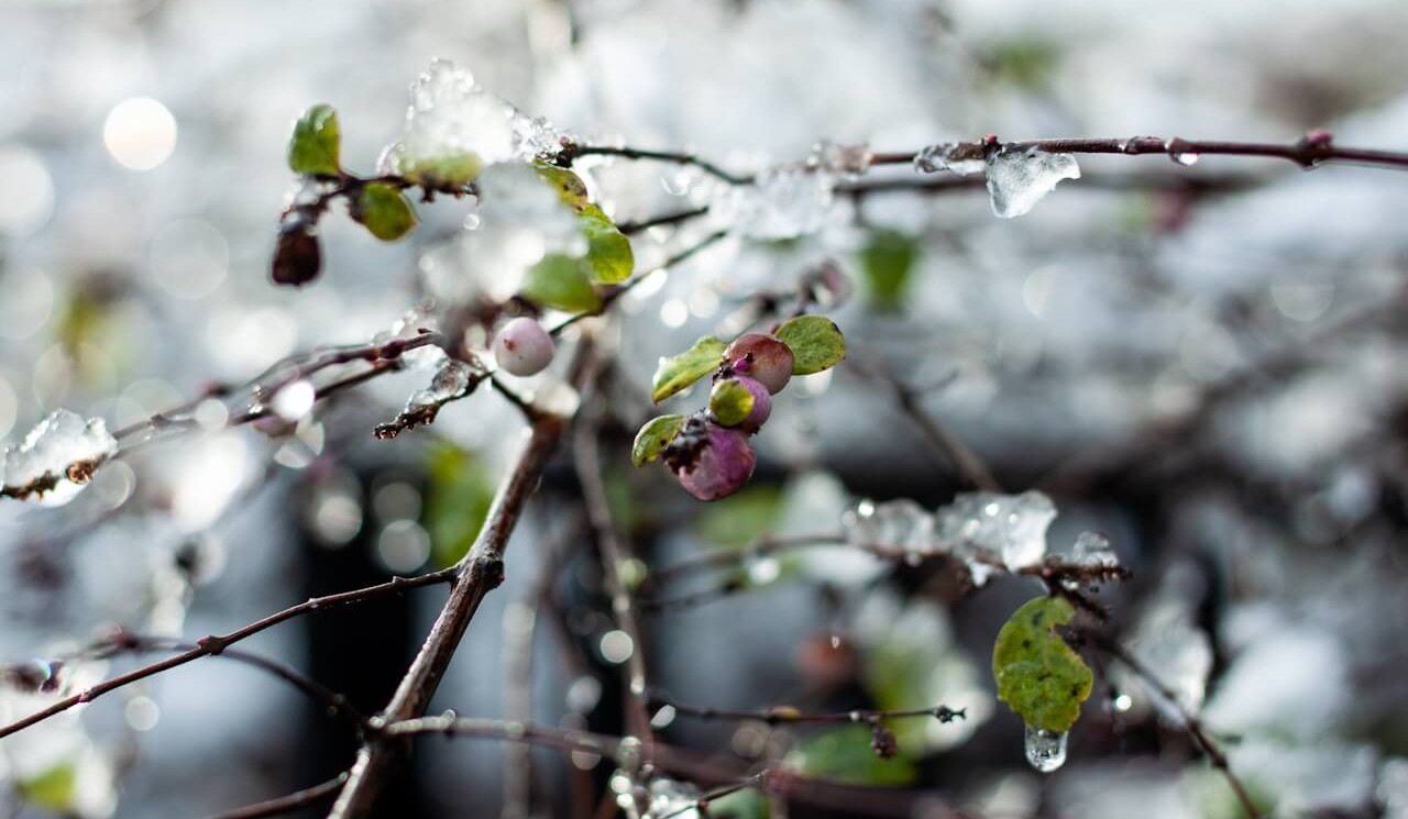 Հանրապետության լեռնային շրջաններում սպասվում է բուք, ցածր հորիզոնական տեսանելիություն