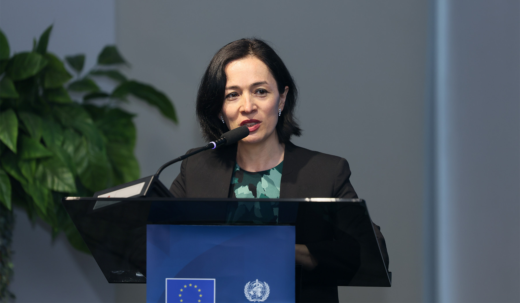 Բժշկական մասնագիտությունները շարունակում են մնալ ամենապահանջվածներից. Ժաննա Անդրեասյան