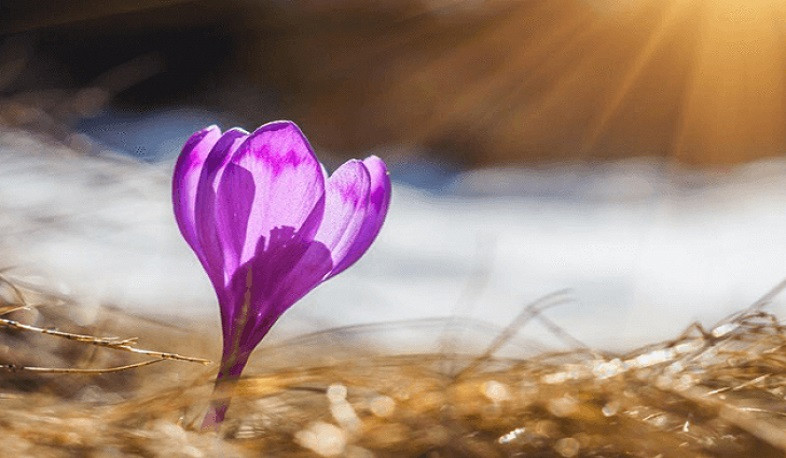 Առաջիկա օրերին ջերմաստիճանը ցերեկային ժամերին կբարձրանա 4-6 աստիճանով