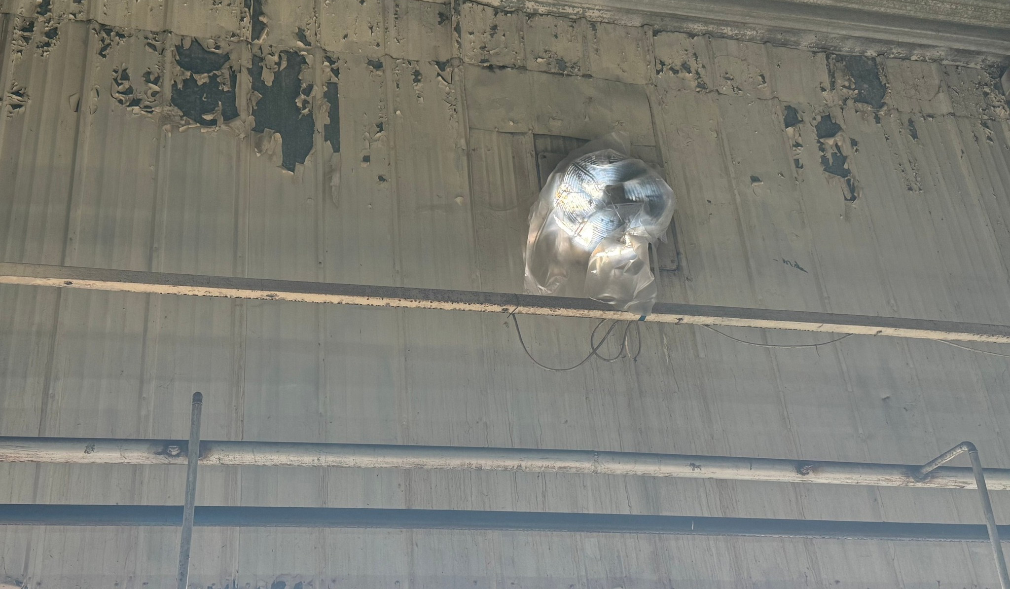 Սանիտարահիգիենիկ նորմերի խախտումներ՝ Աբովյան քաղաքում գործող պահածոների արտադրամասում