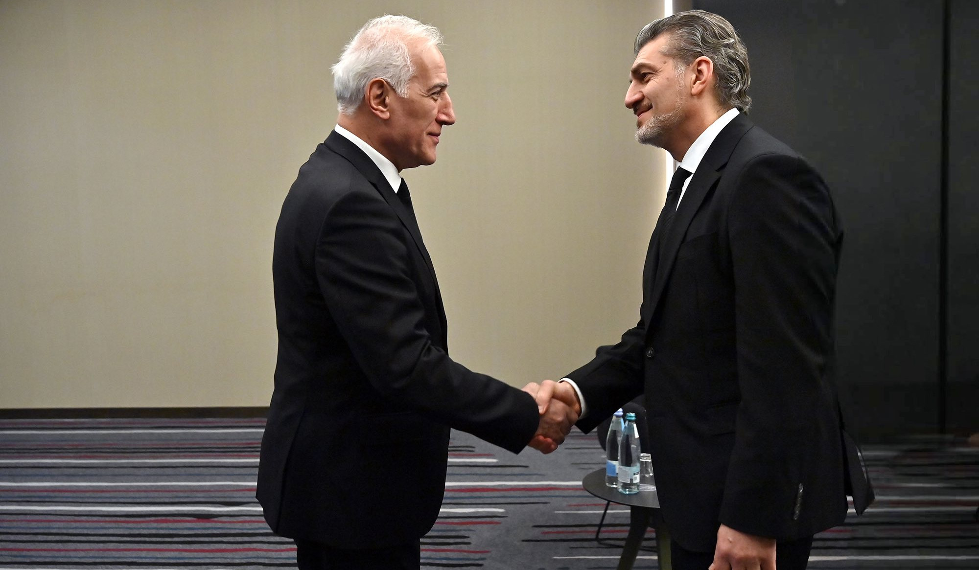 Վահագն Խաչատուրյանն առանձնազրույց է ունեցել Վրաստանի նախագահի հետ