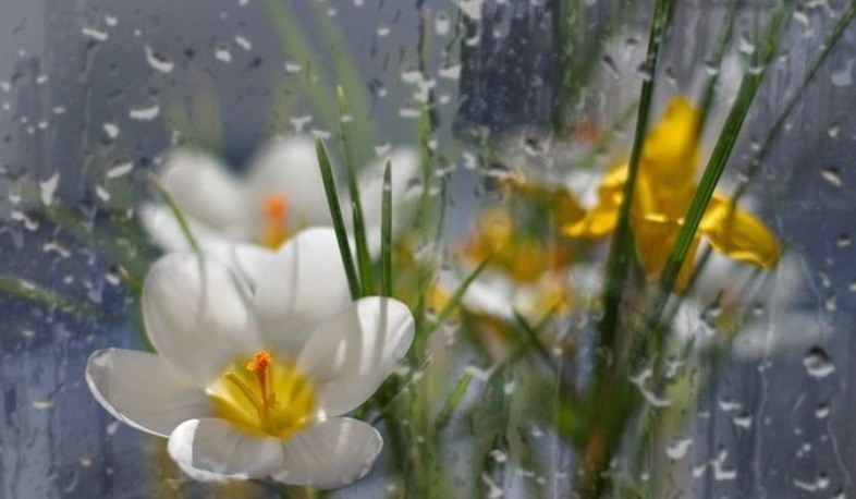 Մարտի 25-28-ը շրջանների մեծ մասում սպասվում են տեղումներ. ջերմաստիճանը կնվազի