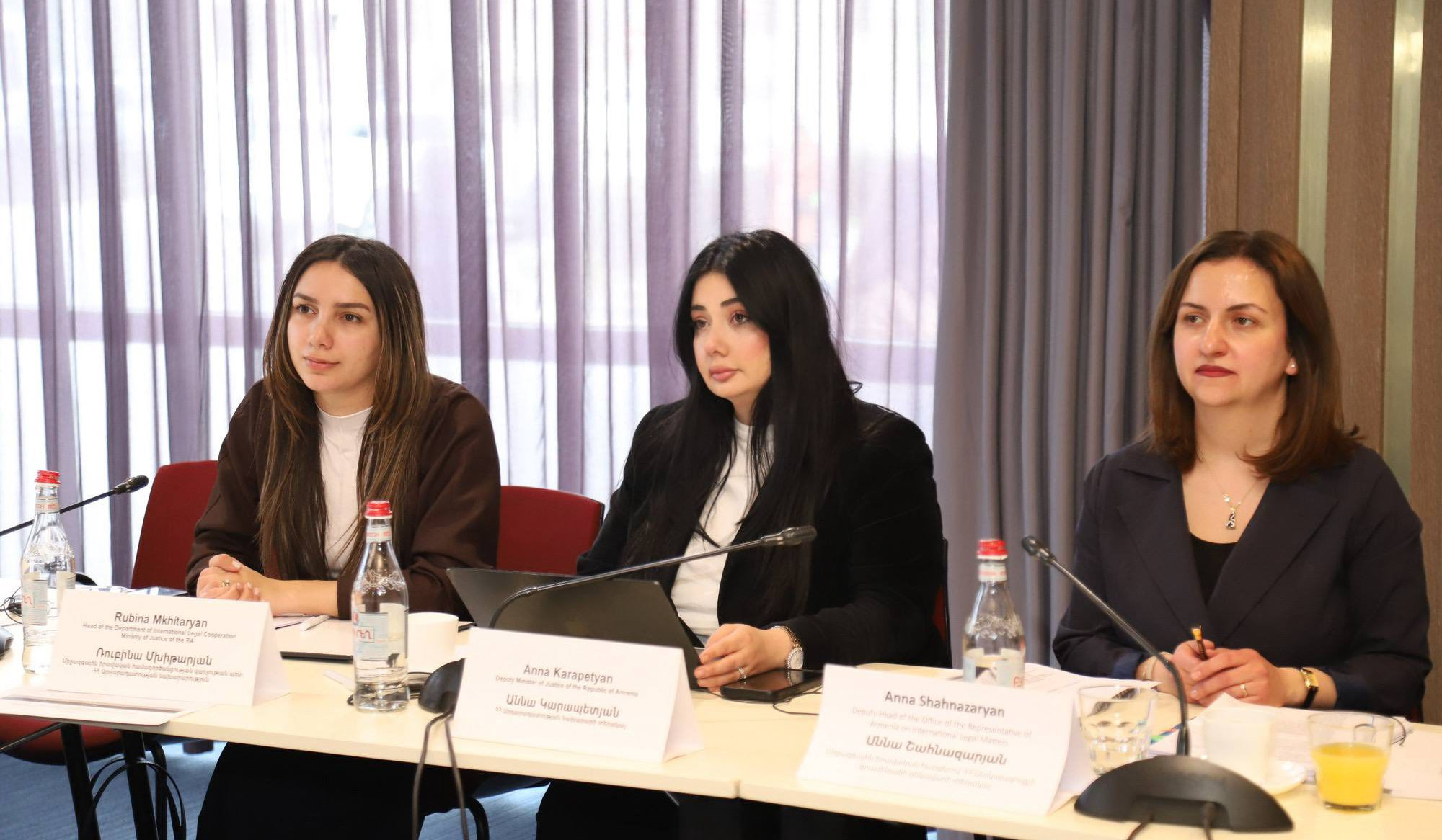 ԵԽ գործընկերների հետ քննարկվել է ՄԻԵԴ-ի վճիռների կատարման ընթացքը