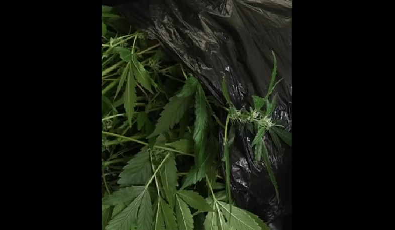 Հայտնաբերվել է թմրանյութերի արտադրամաս, զենք-զինամթերք, կան ձերբակալվածներ