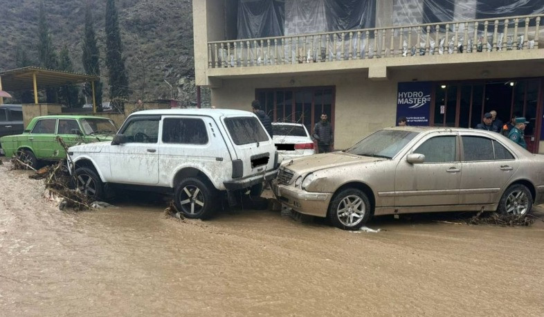 Սելավատարից դուրս եկած ջուրը հեղեղել է Կապանի փողոցը. վնասվել են ավտոմեքենաներ, տուժել կենդանիներ