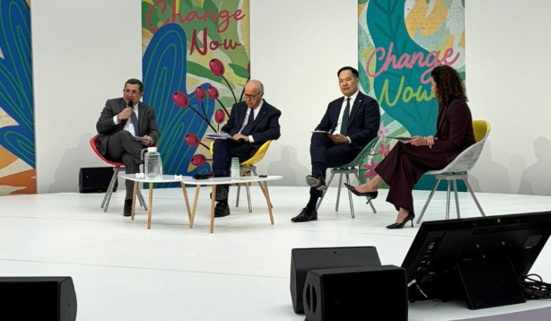 Փարիզում տեղի ունեցած գագաթնաժողովում ներկայացվել են COP17-ին ընդառաջ ՀՀ նախագահության առաջնահերթությունները