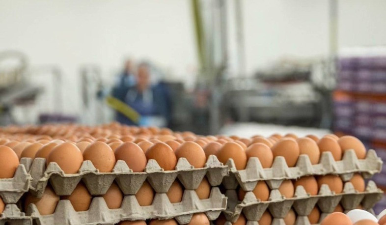 Թարմ, բայց խախտումներով․ ինչ է բացահայտել ՍԱՏՄ-ն ձվի շուկայում