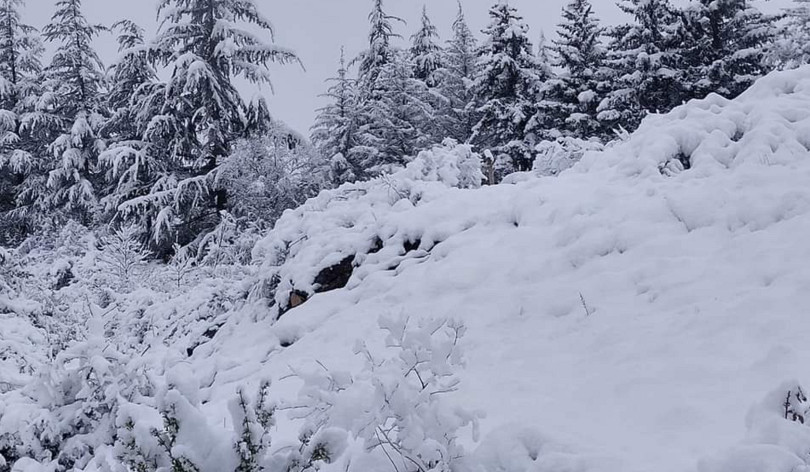 Հյուսիս-արևմուտքից ցուրտ հոսանքներ են ներխուժում, որոշ շրջաններում կանխատեսվում է ձյան ծածկի ավելացում 20-50 սմ-ով