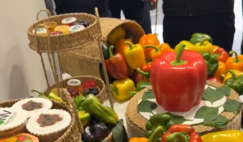 Նոր Գեղի բնակավայրում Կառավարության աջակցությամբ հիմնվել է 5,2 հա պղպեղի ջերմատուն