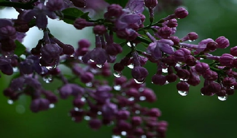 Որոշ շրջաններում սպասվում է ձյուն, ջերմաստիճանը կնվազի