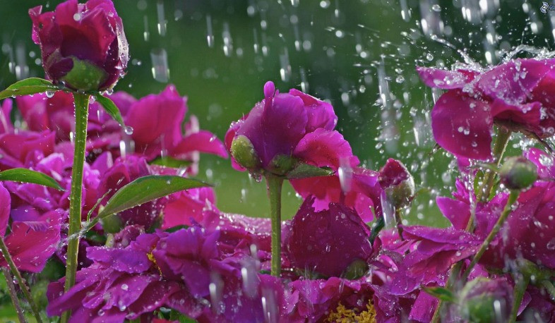 Օդի ջերմաստիճանը կնվազի 5-7 աստիճանով, հետո աստիճանաբար կբարձրանա 9-13 աստիճանով