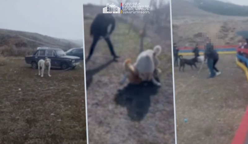 Ոստիկանների և կենդանապաշտպանների համագործակցության շնորհիվ կանխվեց շնամարտը