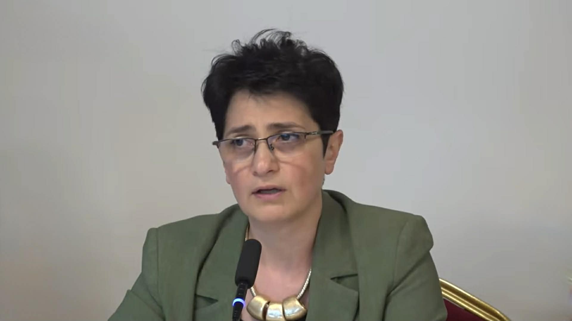We have spoken about prisoners of war and detained persons more than once: Naira Sultanyan on meeting in Gabala
