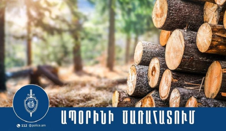 Տավուշի համայնքային ոստիկանները ապօրինի ծառահատման դեպք են բացահայտել
